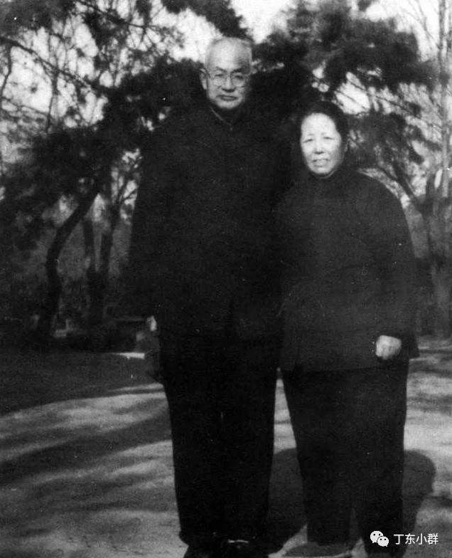 A picture containing tree, outdoor, person, standing

Description automatically generated